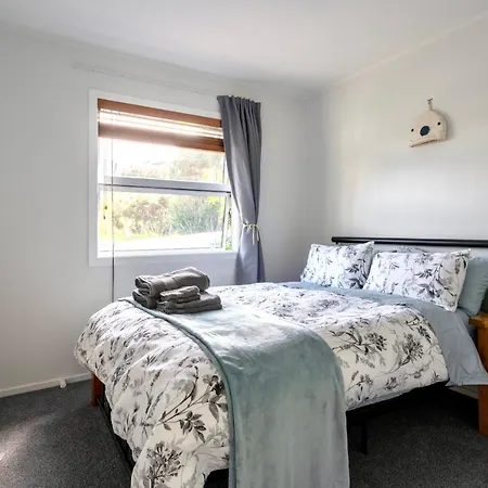 Shared Home In Albany